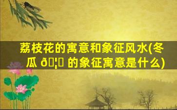 荔枝花的寓意和象征风水(冬瓜 🦈 的象征寓意是什么)